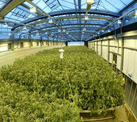 Grow room climate control